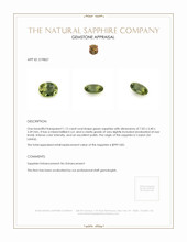 1.12 Ct. Green Sapphire from Ceylon (Sri Lanka) Appraisal
