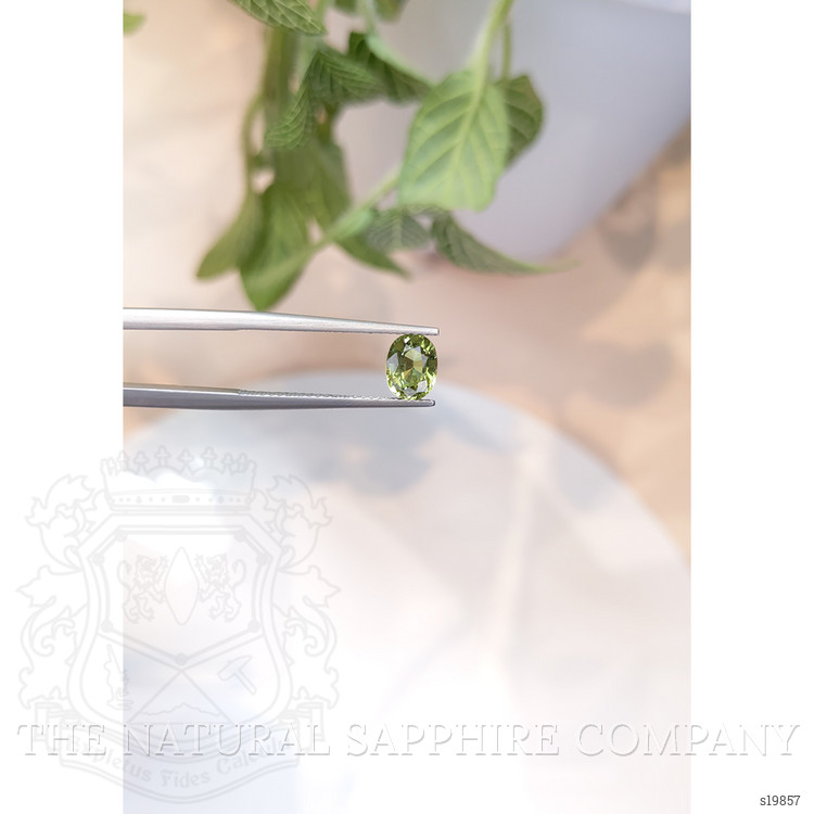 1.12 Ct. Green Sapphire from Ceylon (Sri Lanka)