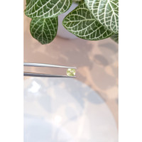 0.86 Ct. Greenish Yellow Sapphire from Ceylon (Sri Lanka) Life Style