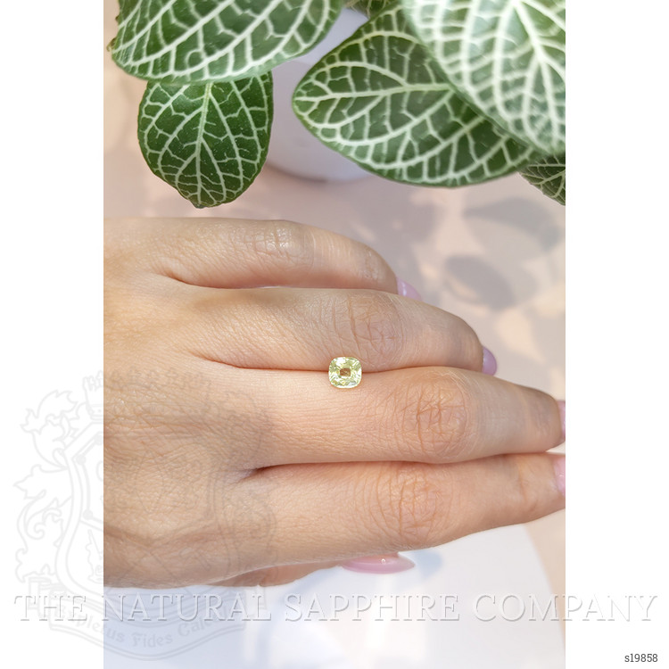 0.86 Ct. Greenish Yellow Sapphire from Ceylon (Sri Lanka)