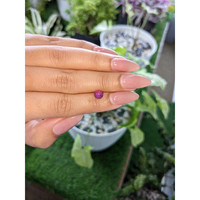 1.40 Ct. Pink Star Sapphire from Ceylon (Sri Lanka) Life Style