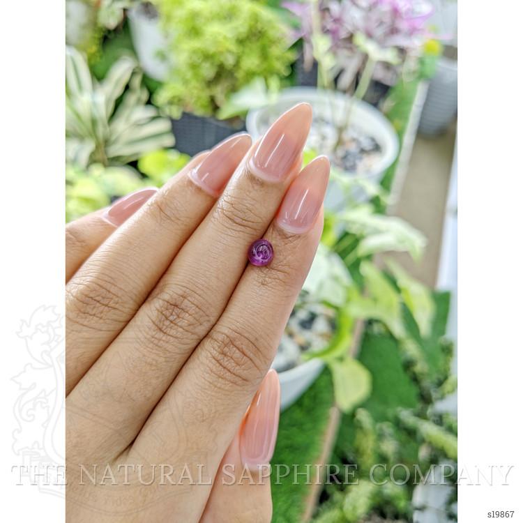 1.40 Ct. Pink Star Sapphire from Ceylon (Sri Lanka)