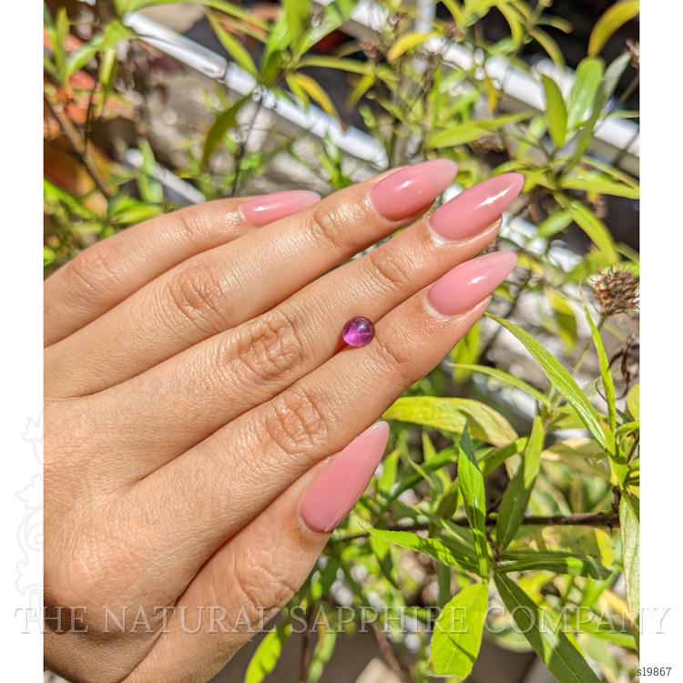 1.40 Ct. Pink Star Sapphire from Ceylon (Sri Lanka)