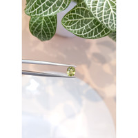 0.95 Ct. Yellowish Green Sapphire from Ceylon (Sri Lanka) Life Style