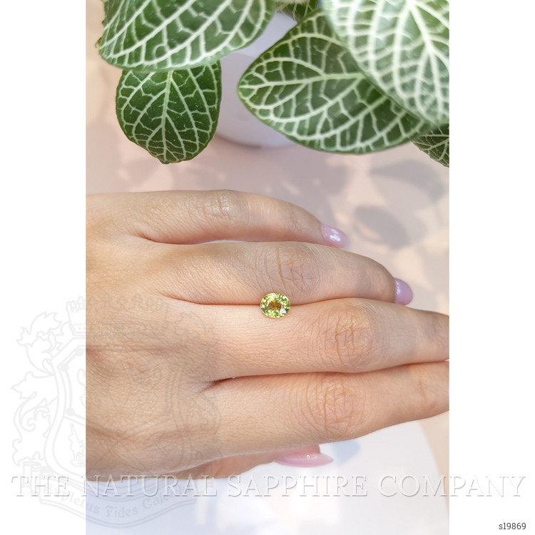 0.95 Ct. Yellowish Green Sapphire from Ceylon (Sri Lanka)