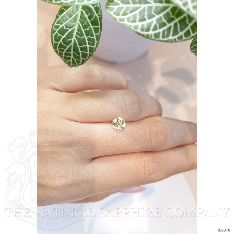 1.02 Ct. Yellow Sapphire from Ceylon (Sri Lanka)