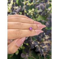 2.05 Ct. Purple Star Sapphire from Ceylon (Sri Lanka) Life Style