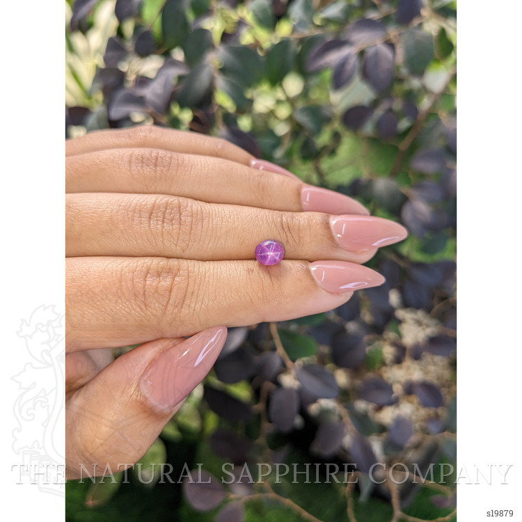 2.05 Ct. Purple Star Sapphire from Ceylon (Sri Lanka)