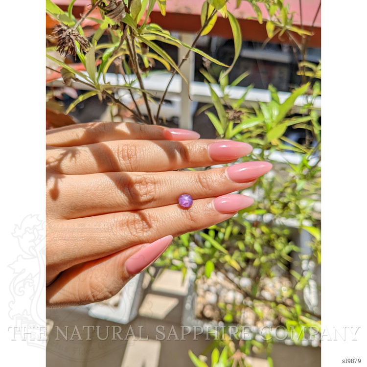 2.05 Ct. Purple Star Sapphire from Ceylon (Sri Lanka)