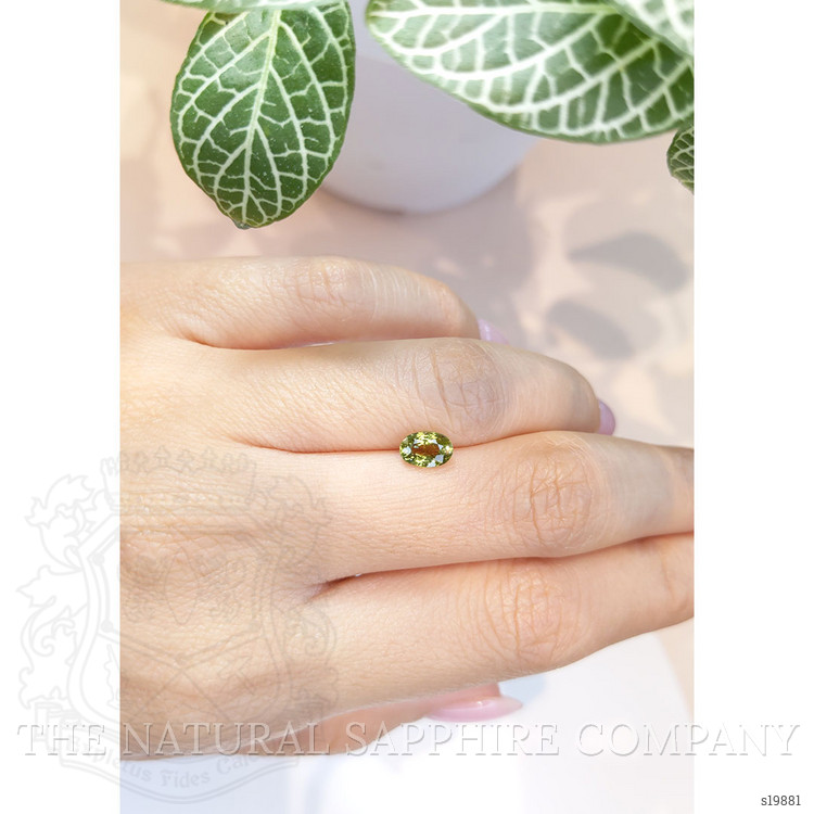 1.03 Ct. Green Sapphire from Ceylon (Sri Lanka)