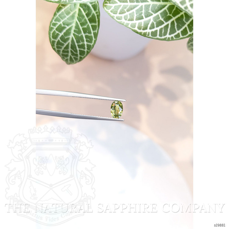 1.03 Ct. Green Sapphire from Ceylon (Sri Lanka)