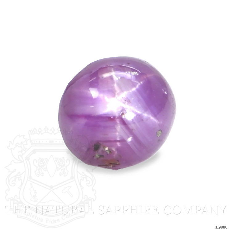 1.24 Ct. Purple Star Sapphire from Ceylon (Sri Lanka)