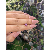 1.24 Ct. Purple Star Sapphire from Ceylon (Sri Lanka) Life Style