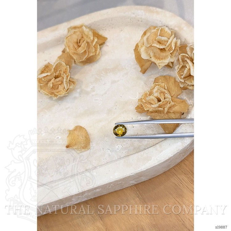 1.36 Ct. Yellowish Brown Sapphire from Ceylon (Sri Lanka)