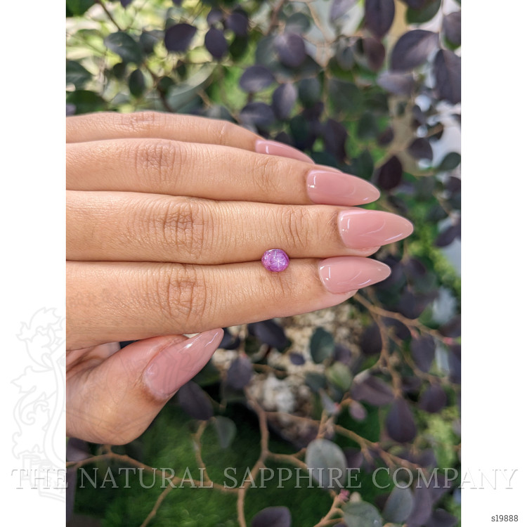 1.76 Ct. Pinkish Purple Star Sapphire from Ceylon (Sri Lanka)