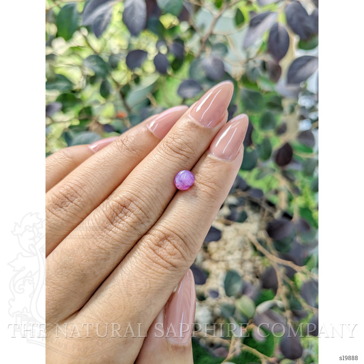 1.76 Ct. Pinkish Purple Star Sapphire from Ceylon (Sri Lanka)