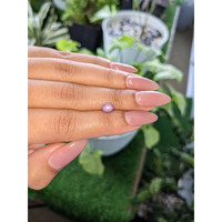 1.32 Ct. Purple Star Sapphire from Ceylon (Sri Lanka) Life Style