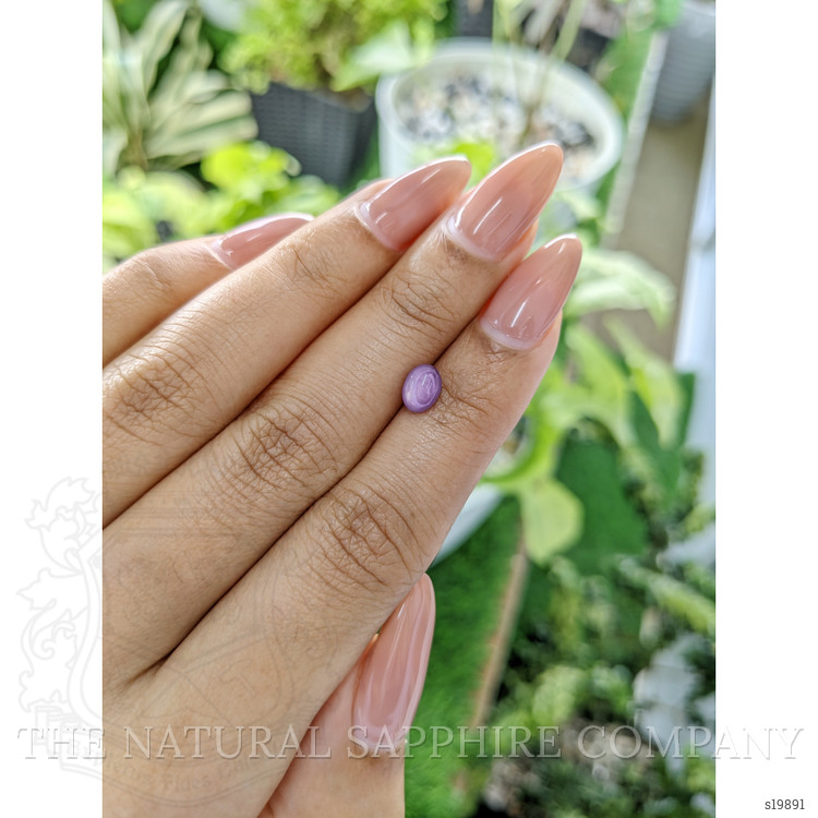 1.32 Ct. Purple Star Sapphire from Ceylon (Sri Lanka)