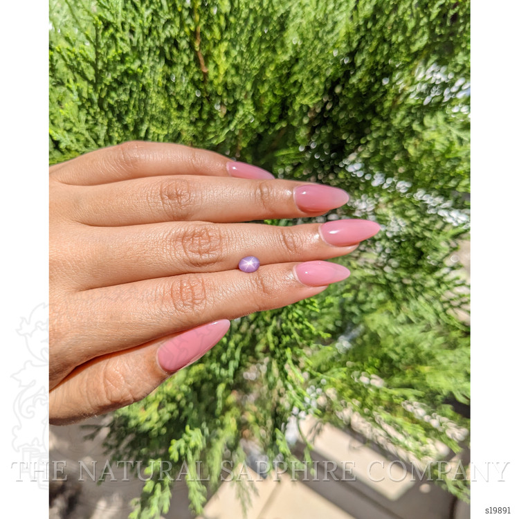 1.32 Ct. Purple Star Sapphire from Ceylon (Sri Lanka)