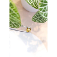 1.39 Ct. Yellow Sapphire from Ceylon (Sri Lanka) Life Style