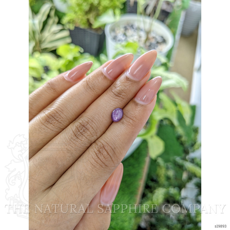 1.75 Ct. Purple Star Sapphire from Ceylon (Sri Lanka)