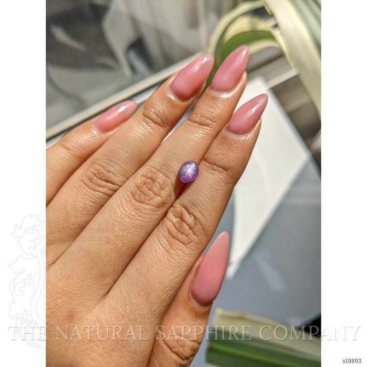 1.75 Ct. Purple Star Sapphire from Ceylon (Sri Lanka)
