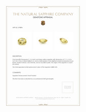 1.14 Ct. Yellow Sapphire from Ceylon (Sri Lanka) Appraisal