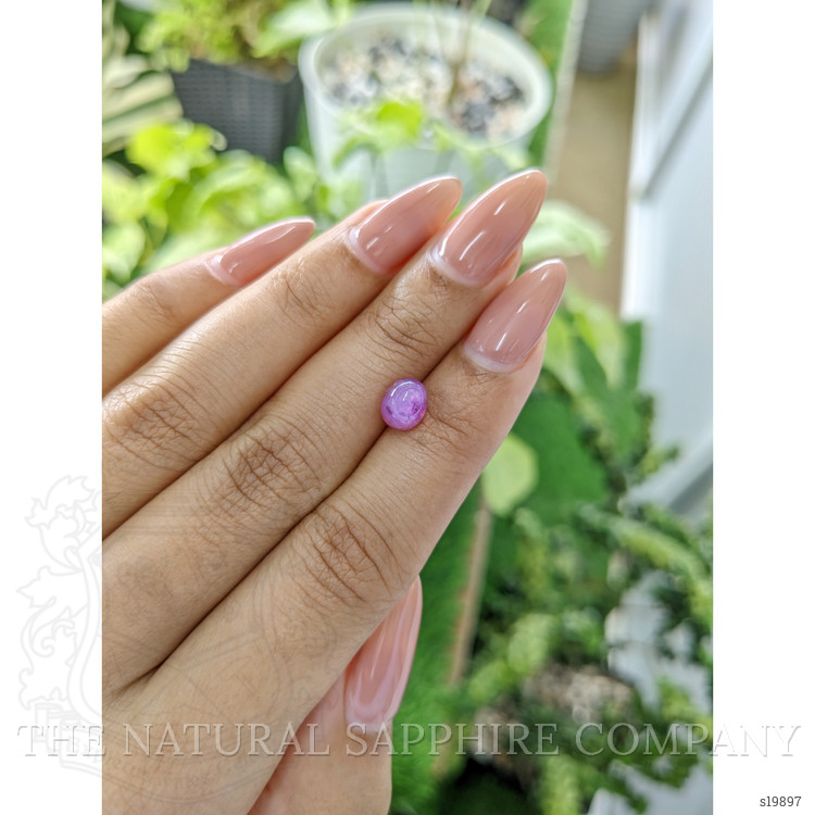 2.57 Ct. Pinkish Purple Star Sapphire from Ceylon (Sri Lanka)