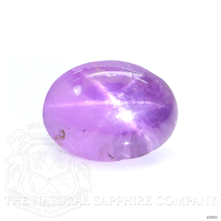 1.66 Ct. Pinkish Purple Star Sapphire from Ceylon (Sri Lanka)