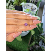 1.90 Ct. Purple Star Sapphire from Ceylon (Sri Lanka) Life Style