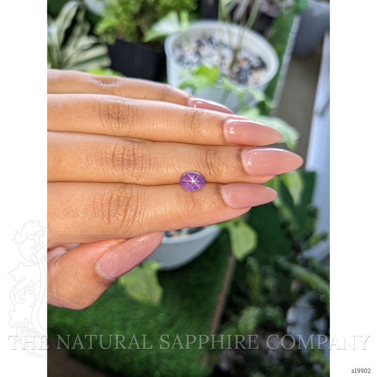 1.90 Ct. Purple Star Sapphire from Ceylon (Sri Lanka)