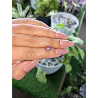 2.11 Ct. Pinkish Purple Star Sapphire from Ceylon (Sri Lanka) Life Style