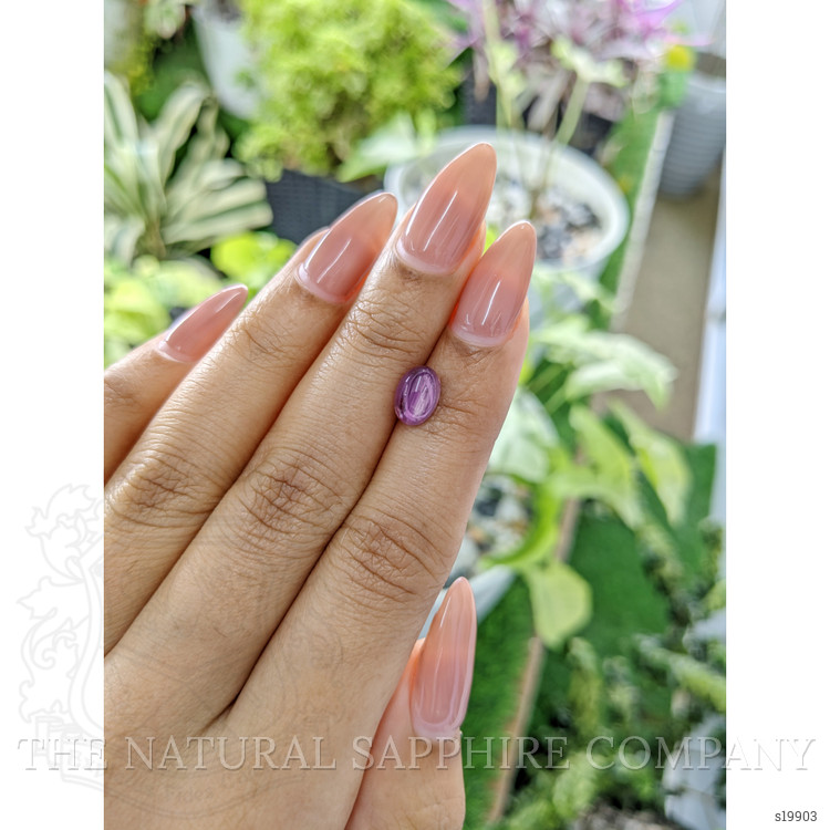 2.11 Ct. Pinkish Purple Star Sapphire from Ceylon (Sri Lanka)