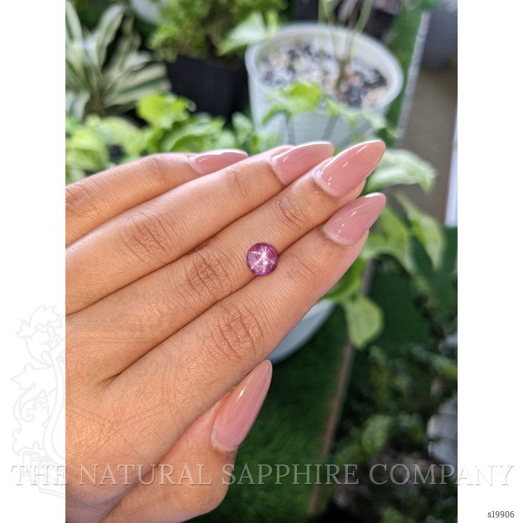 1.60 Ct. Purplish Pink Star Sapphire from Ceylon (Sri Lanka)