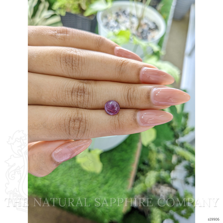 1.60 Ct. Purplish Pink Star Sapphire from Ceylon (Sri Lanka)