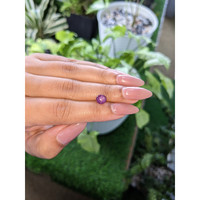 2.14 Ct. Purple Star Sapphire from Ceylon (Sri Lanka) Life Style