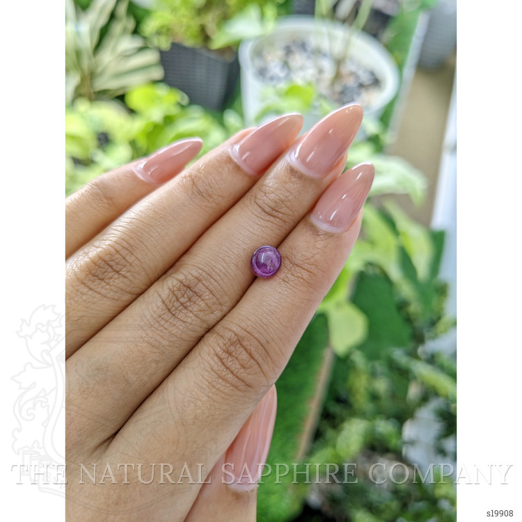 2.14 Ct. Purple Star Sapphire from Ceylon (Sri Lanka)