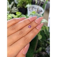 0.84 Ct. Pinkish Purple Star Sapphire from Ceylon (Sri Lanka) Life Style