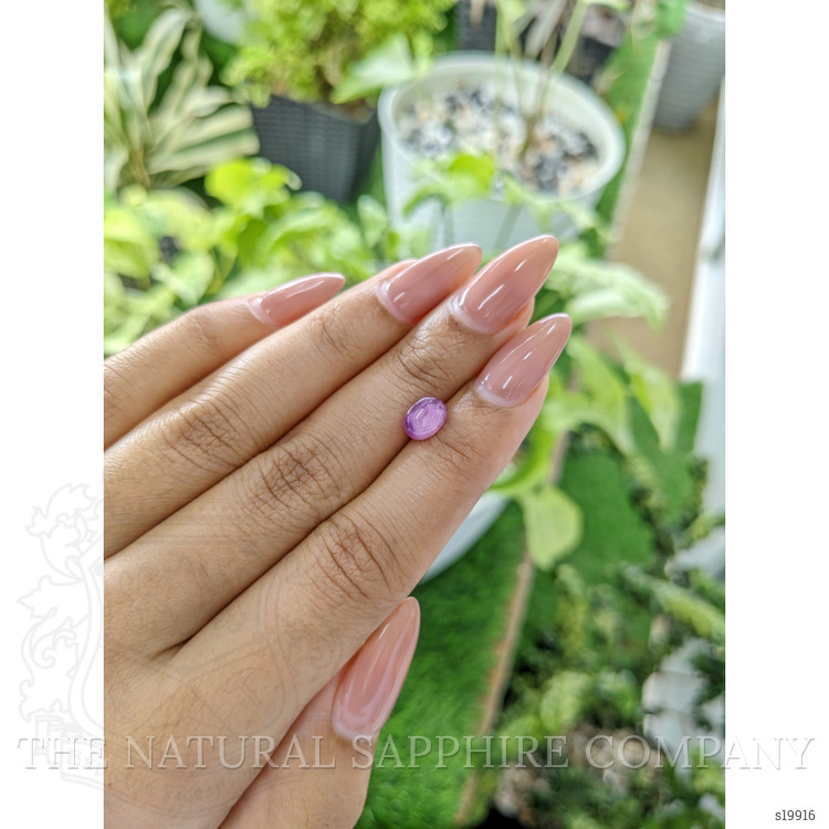 1.72 Ct. Purplish Pink Star Sapphire from Ceylon (Sri Lanka)