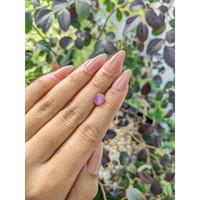 1.46 Ct. Purplish Pink Star Sapphire from Ceylon (Sri Lanka) Life Style