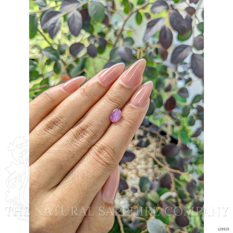 1.46 Ct. Purplish Pink Star Sapphire from Ceylon (Sri Lanka)