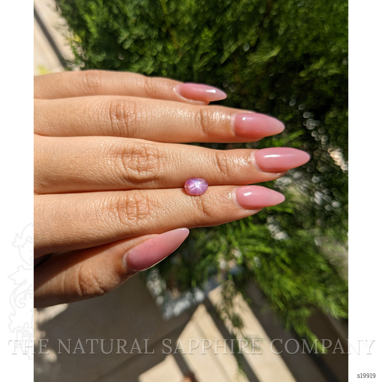 1.46 Ct. Purplish Pink Star Sapphire from Ceylon (Sri Lanka)