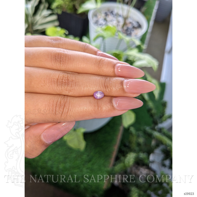 1.06 Ct. Purple Star Sapphire from Ceylon (Sri Lanka)