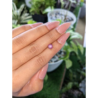 1.63 Ct. Purple Star Sapphire from Ceylon (Sri Lanka) Life Style