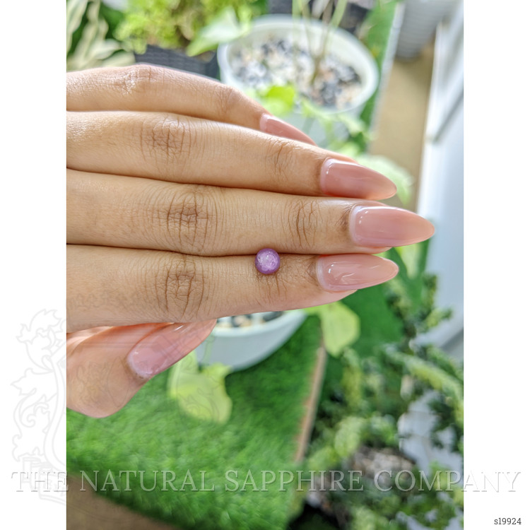 1.63 Ct. Purple Star Sapphire from Ceylon (Sri Lanka)