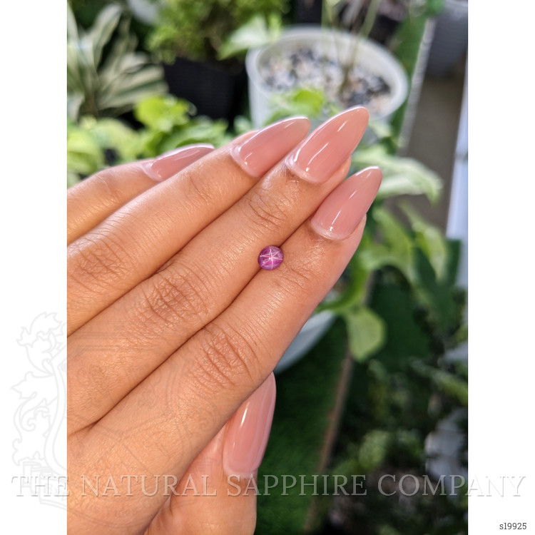 0.84 Ct. Purple Star Sapphire from Ceylon (Sri Lanka)
