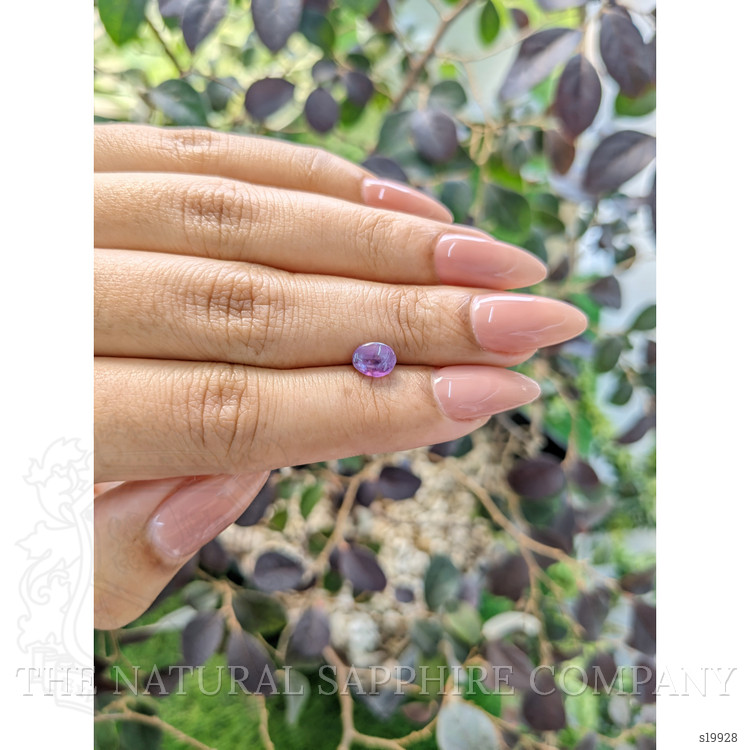 1.07 Ct. Purple Star Sapphire from Ceylon (Sri Lanka)