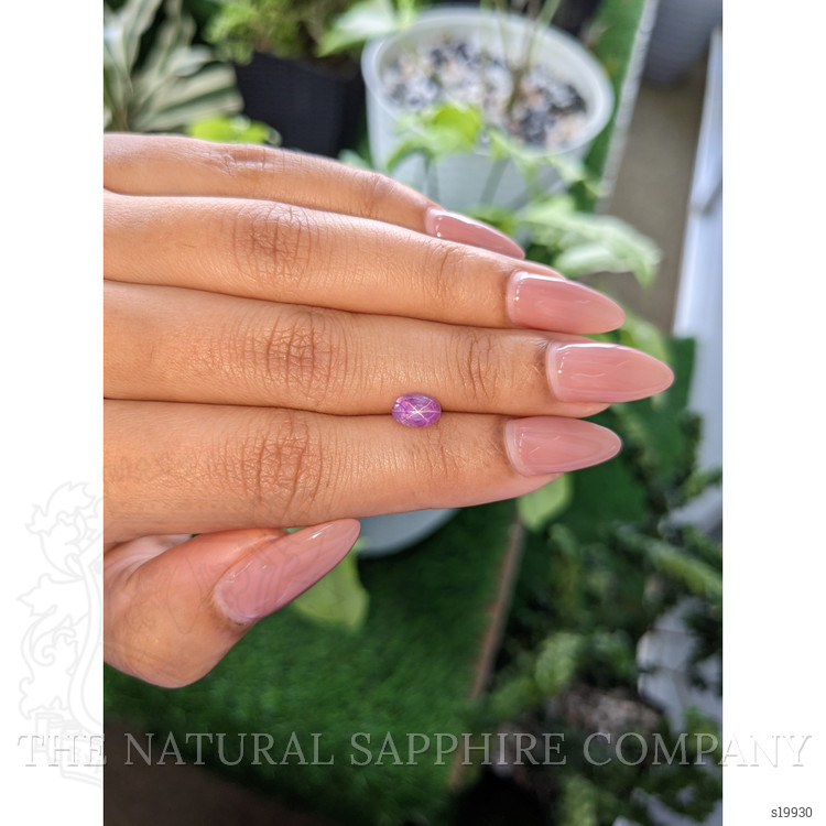 1.03 Ct. Pinkish Purple Star Sapphire from Ceylon (Sri Lanka)