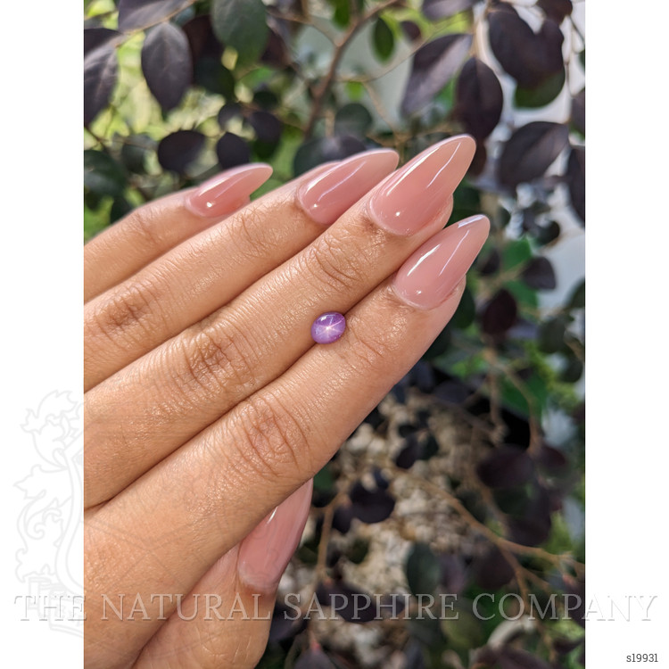 1.23 Ct. Purple Star Sapphire from Ceylon (Sri Lanka)