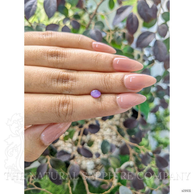 1.23 Ct. Purple Star Sapphire from Ceylon (Sri Lanka)